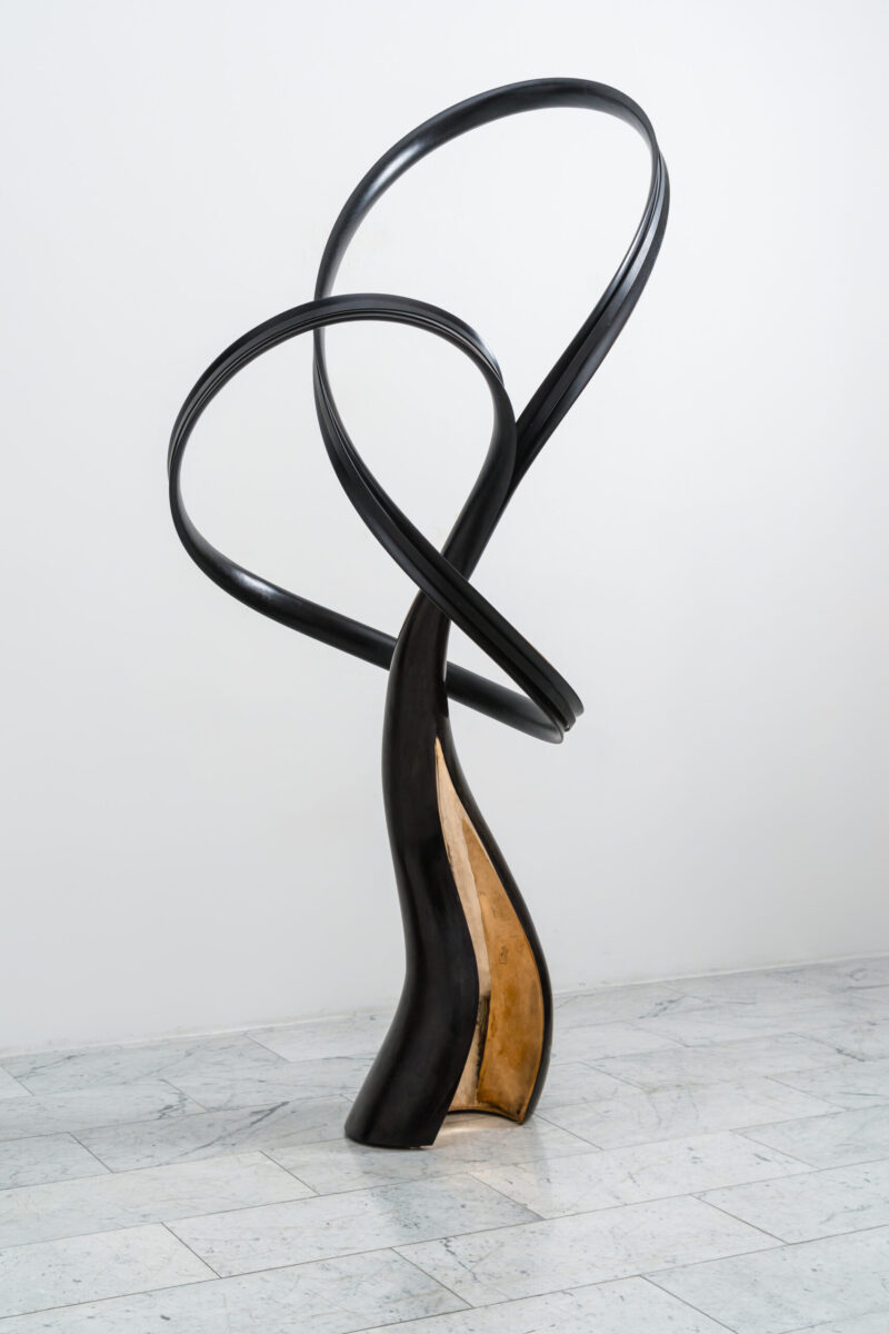 LowRes-11.1.24 TMS-16165-Edit