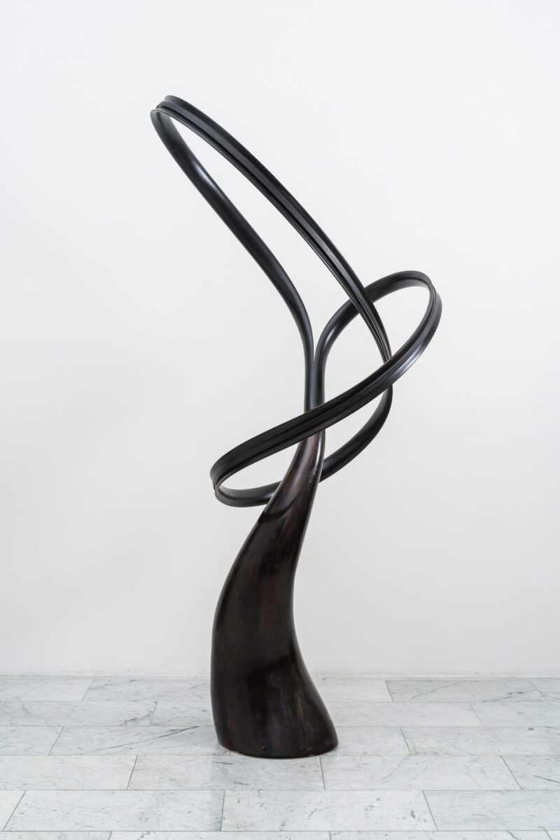 LowRes-11.1.24 TMS-16173-Edit