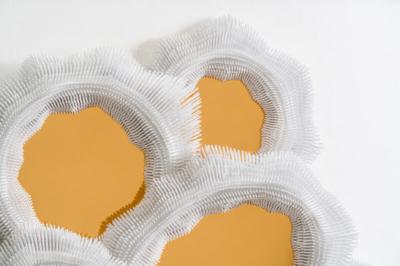 LowRes-12.18.24 TMS-17816 (1)