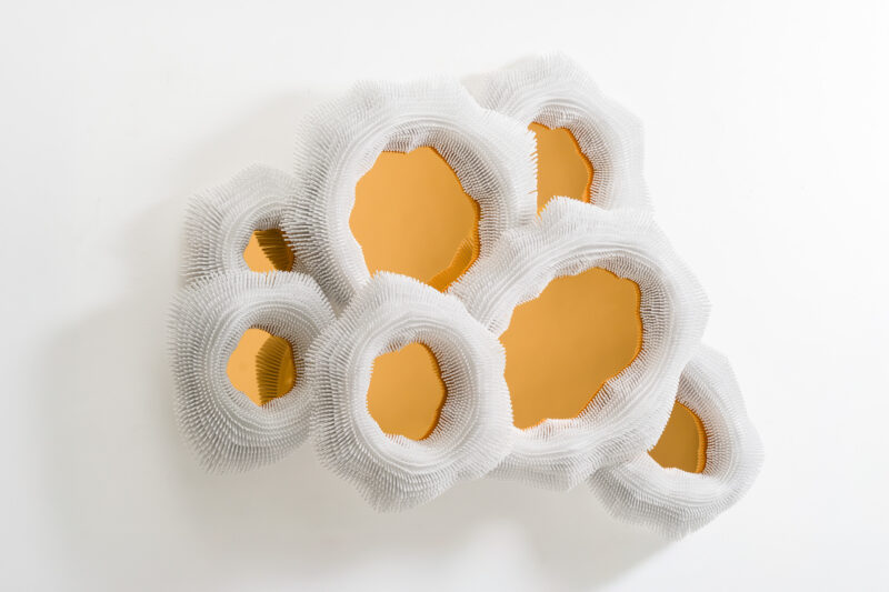 LowRes-12.18.24 TMS-17826-Edit (1)