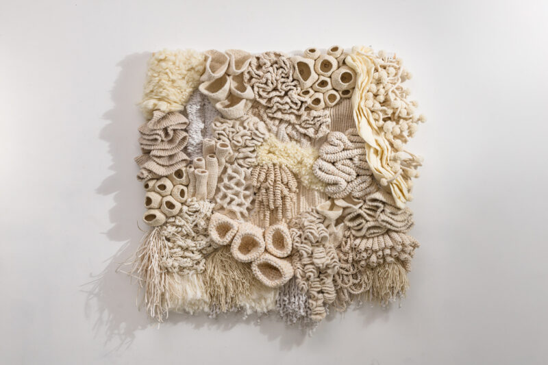 LowRes-1.23.25 TMS-00033-Edit