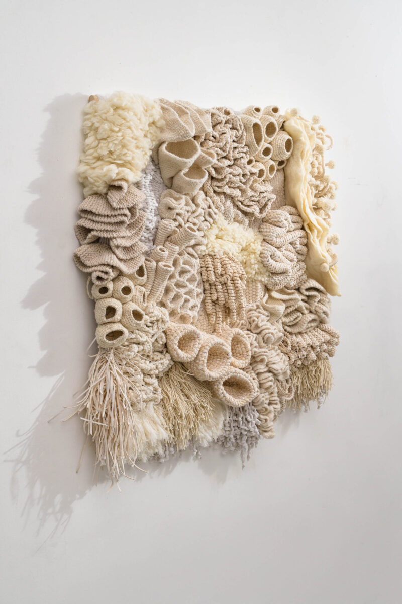 LowRes-1.23.25 TMS-00036-Edit