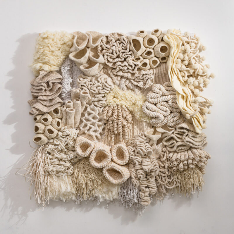 Untitled-1_0013_LowRes-1.23.25 TMS-00033-Edit