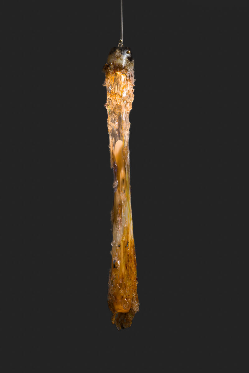 LowRes_9.25.25 TMS-216