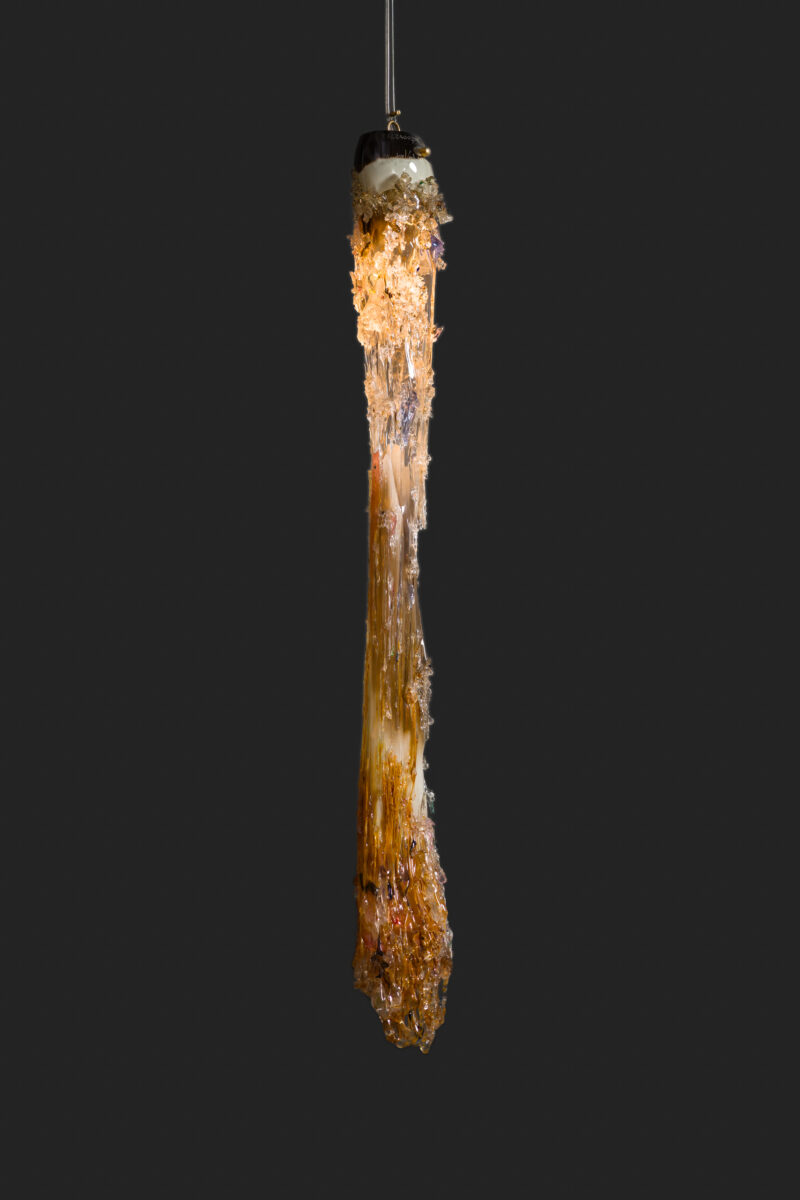 LowRes_9.25.25 TMS-221