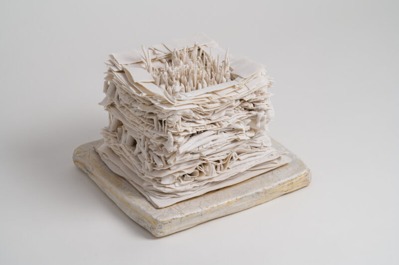 LowRes_10.10.25 TMS-3119