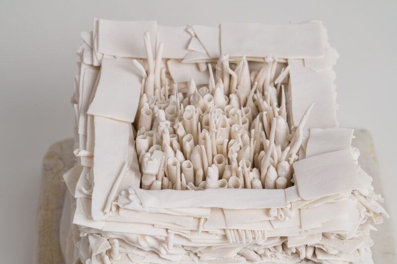 LowRes_10.10.25 TMS-3126