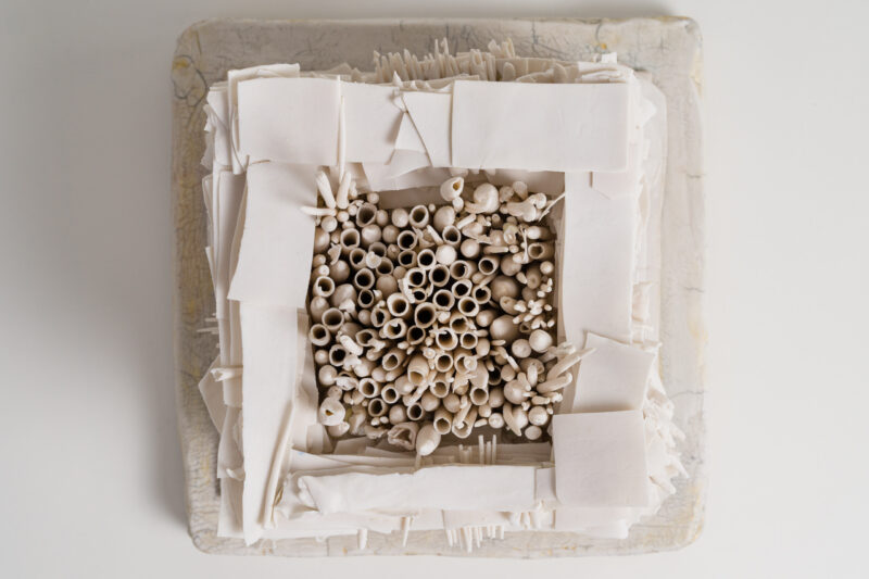 LowRes_10.10.25 TMS-3128