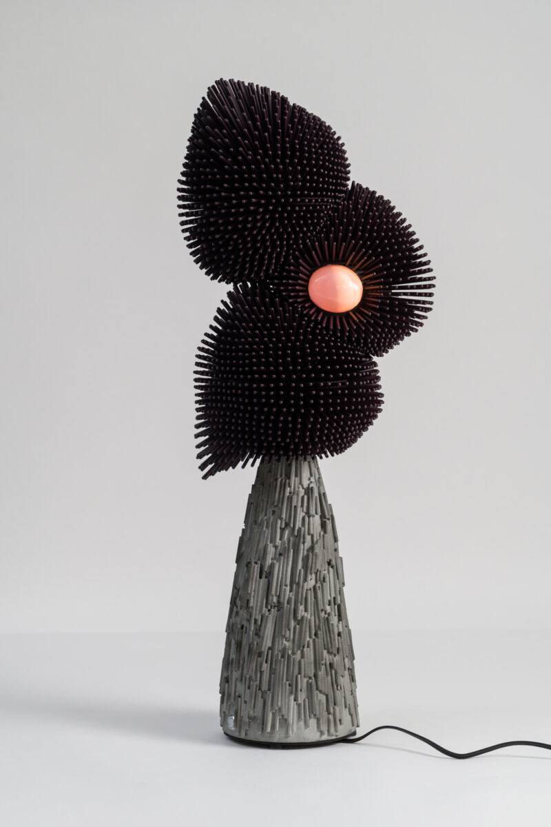 LowRes_10.17.25 TMS-4780