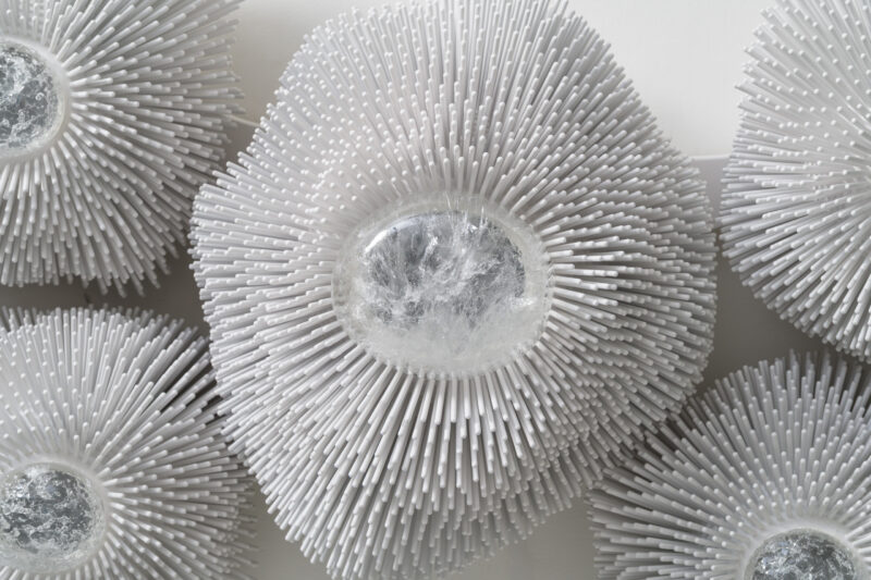 LowRes_10.22.25 TMS-5347