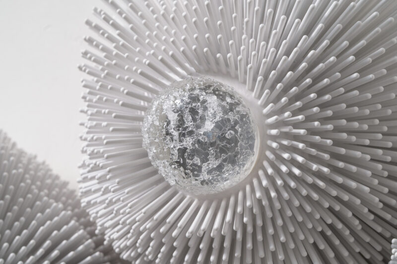 LowRes_10.22.25 TMS-5349