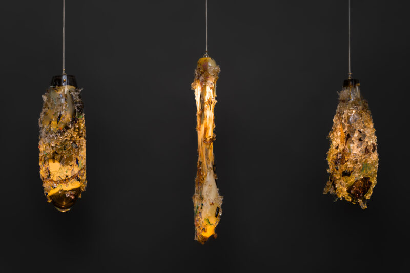 LowRes_9.25.25 TMS-487-2 copy