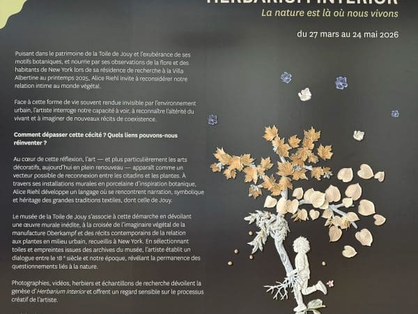 Herbarium Interior - Alice Riehl @MTJ-6V
