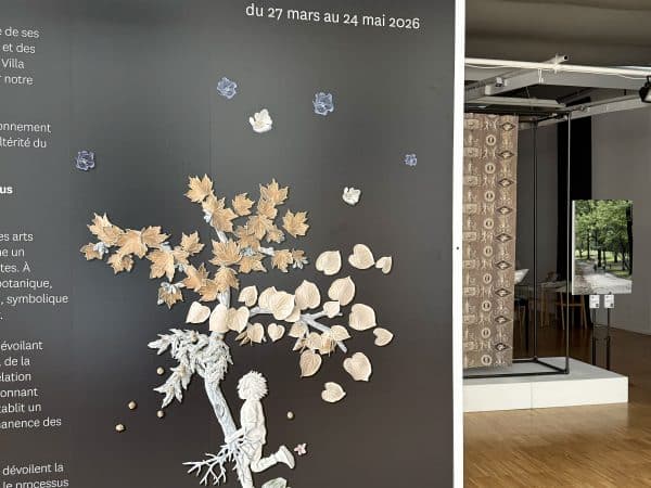 Herbarium Interior - Alice Riehl @MTJ-8V