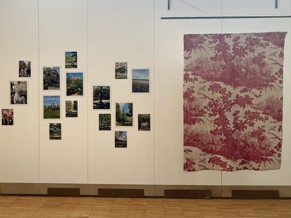 Herbarium Interior - Alice Riehl @MTJ-9V